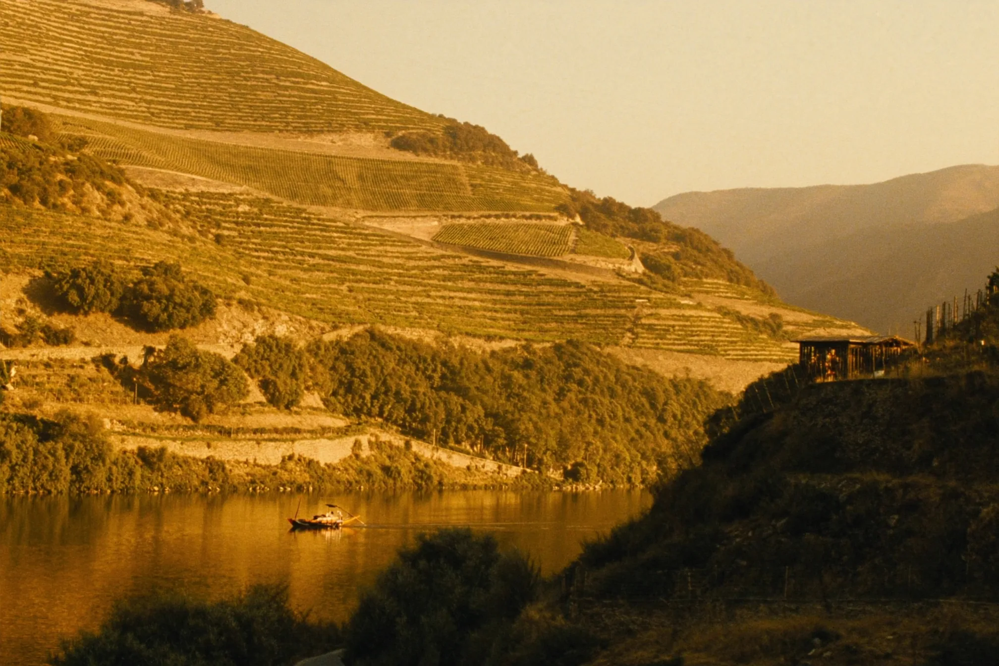 Douro Valley, Portugal